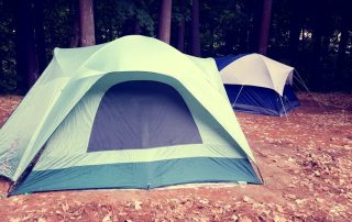 Eco-friendly camping tents in a forest