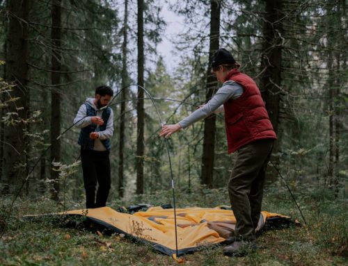 Latest Camping Tent News: Innovations and Trends for 2024