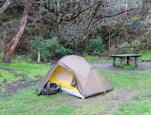 The Ultimate Guide to Choosing the Perfect Camping Tents in Australia