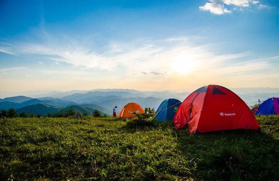 Various types of camping tents set up in a scenic forest