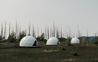 A dome camping tent set up in a lush green forest