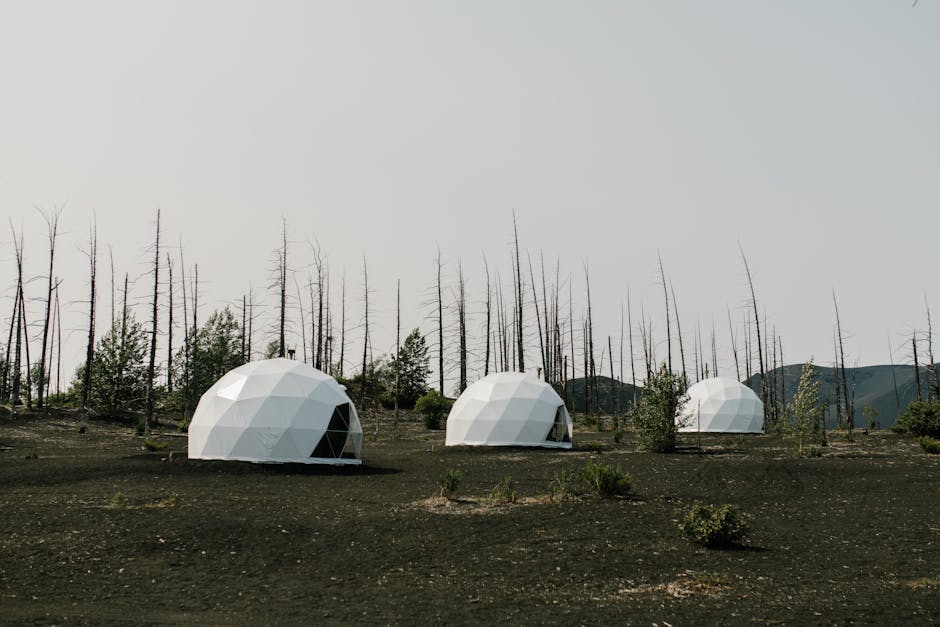 A dome camping tent set up in a lush green forest
