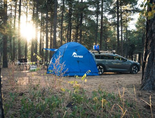 The Ultimate Guide to Choosing the Best Camping Tents in Australia