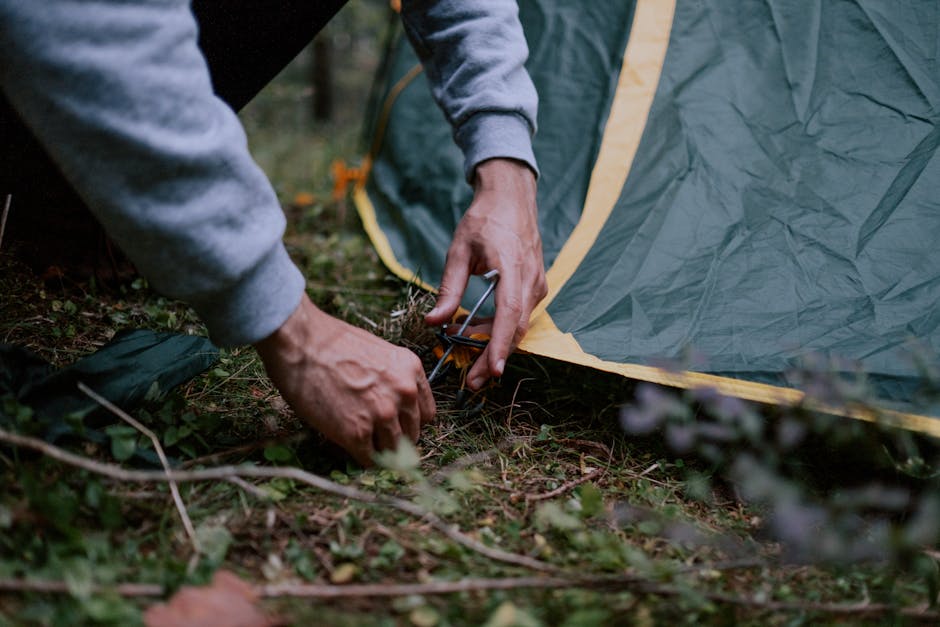 Various camping tents set up in a picturesque outdoor setting