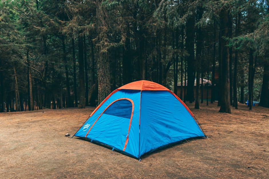 Various camping tents set up in a scenic outdoor environment.