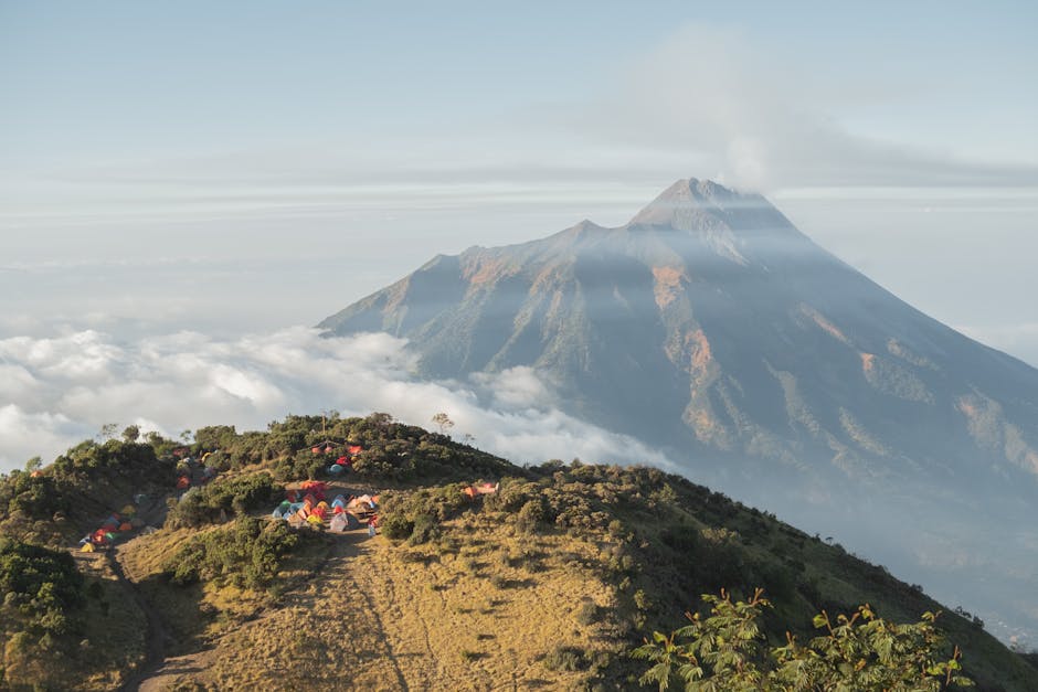 Various types of camping tents set up in a beautiful natural landscape